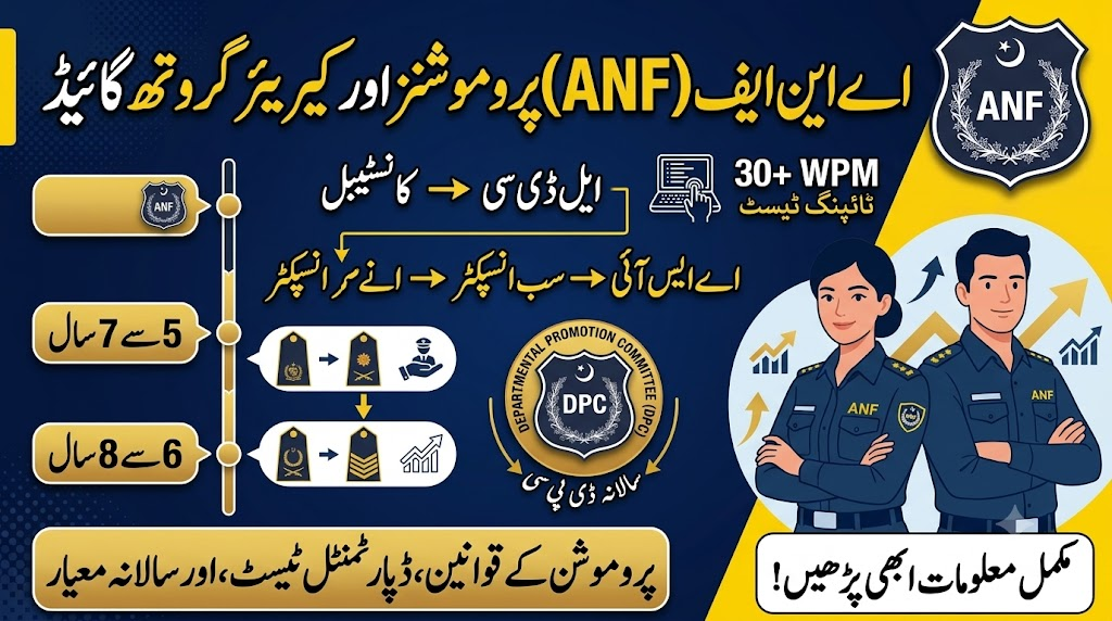 ANF Job Promotion Structure & Career Growth Path